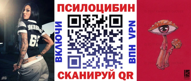 где купить наркотик  Сольцы  Псилоцибиновые грибы мухоморы 